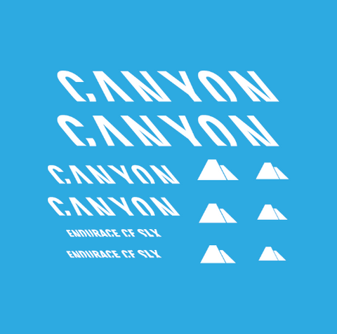 Canyon Bicycle Decals / Stickers