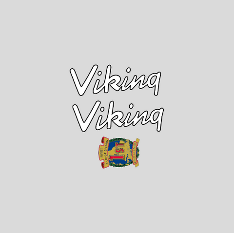 Viking Bicycle Transfers / Decals / Stickers