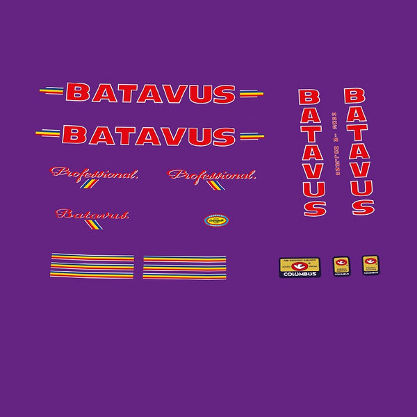 Batavus Set 11-Bicycle Decals