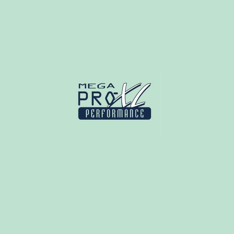 Bianchi Mega Pro XL Performance Bicycle Decal