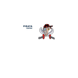 Bianchi Pirata Pantani Bicycle Decals