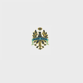 bianchi bicycle badge Bianchi Head Tube Decal -9870 – Bicycle Decals