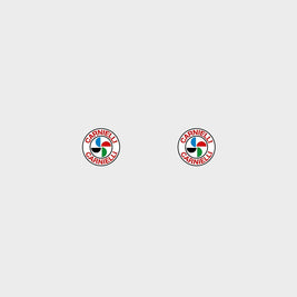 Bottecchia Set 9800-Bicycle Decals