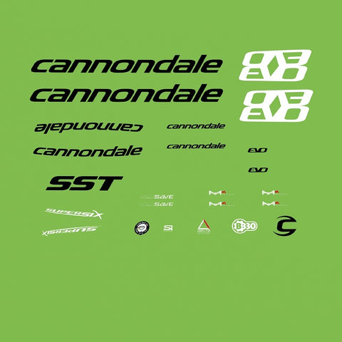 Cannondale EVO