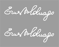 Colnago Set 9005-Bicycle Decals