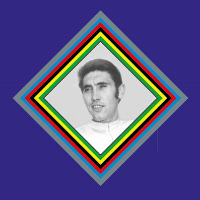 Eddy Merckx SET 12-Bicycle Decals
