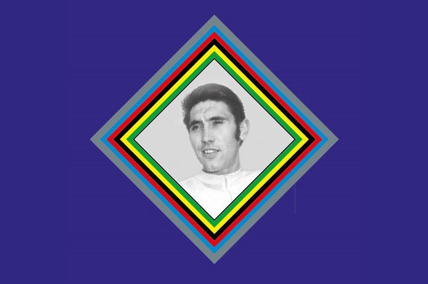 Eddy Merckx SET 12-Bicycle Decals