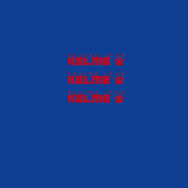 Gios Set 9050-Bicycle Decals