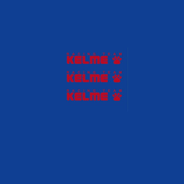 Gios Set 9050-Bicycle Decals