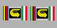 Moser Set 9300-Bicycle Decals