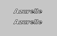 Peugeot 1960s bicycle Cadre Stickers - decals : N.140 Peugeot 1960s bicycle Cadre Stickers - decals : N.140